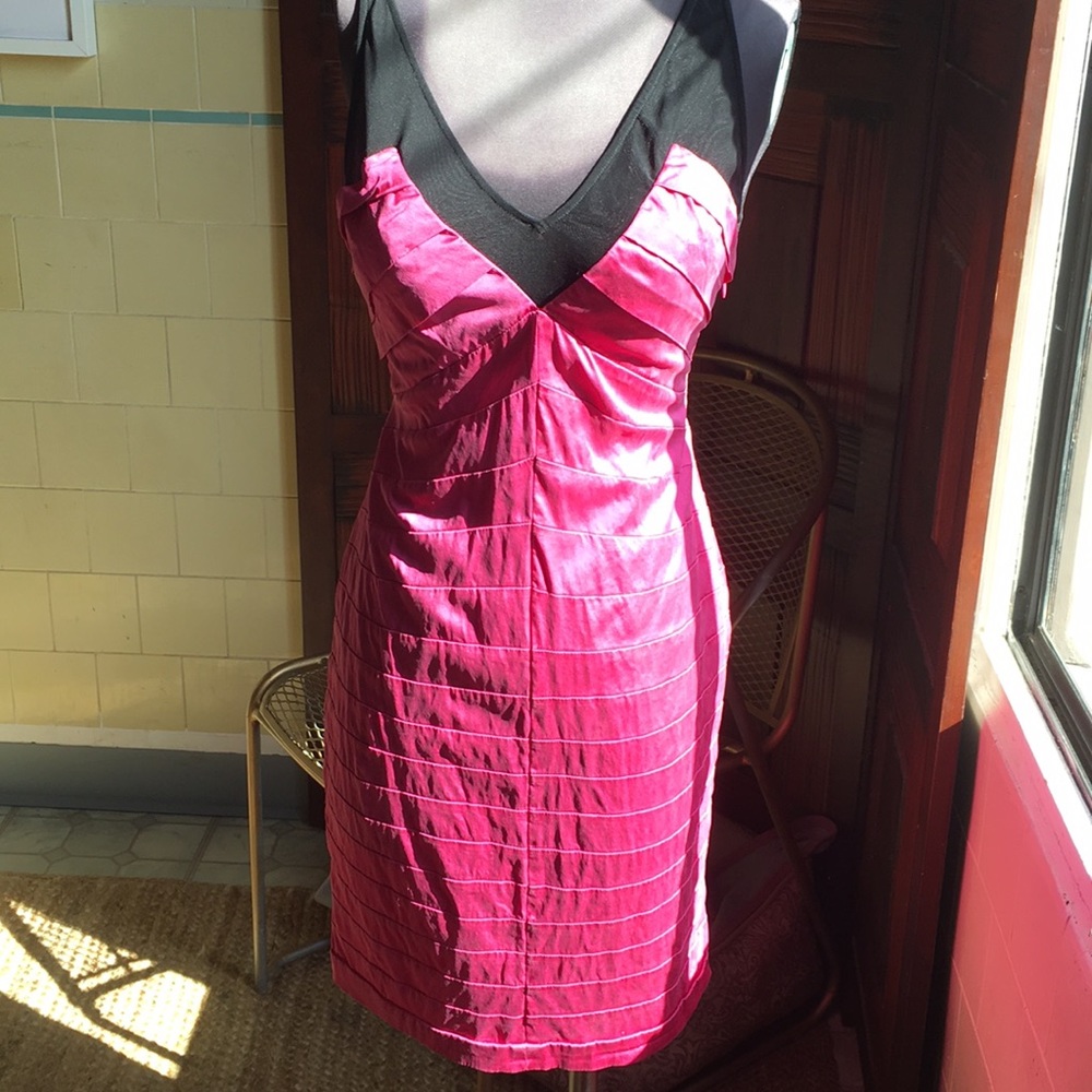 Bebe pink and sheer dress